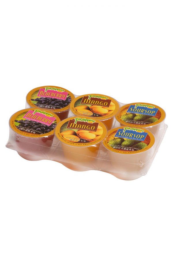 Philippine Brand Assorted Pudding 100g