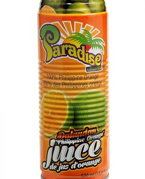 Paradise Brand Dalandan Juice 520ml