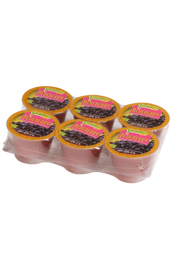 Philippine Brand Blueberry Pudding 100g