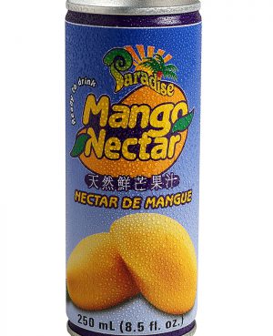 Paradise Brand Mango Nectar 250ml